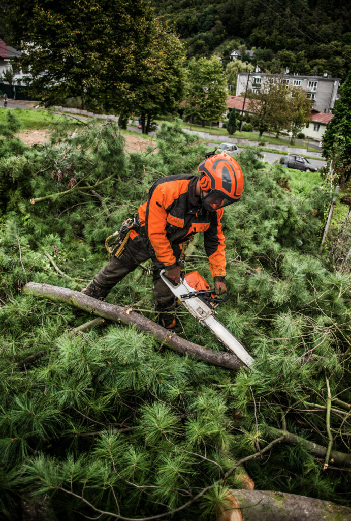 tree service companies joplin mo